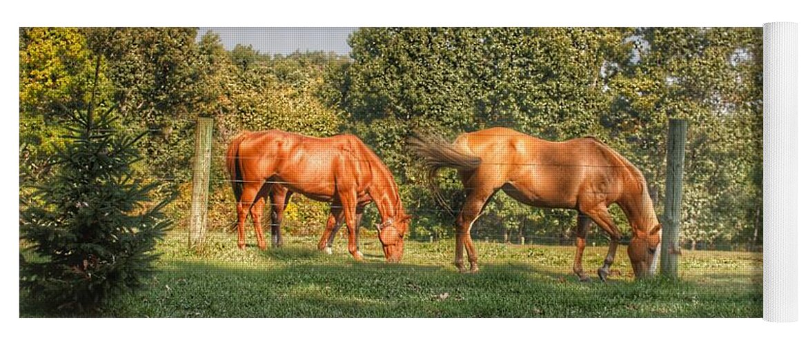 Horses Yoga Mat featuring the photograph 1006 - Caramel Horses I by Sheryl L Sutter
