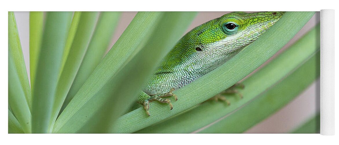Anolis Yoga Mat featuring the photograph Carolina Anole by Patricia Schaefer