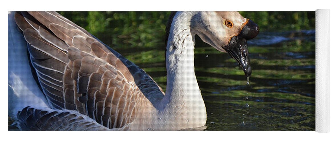 Swan Yoga Mat featuring the photograph Cascading Elegance by Debby Pueschel