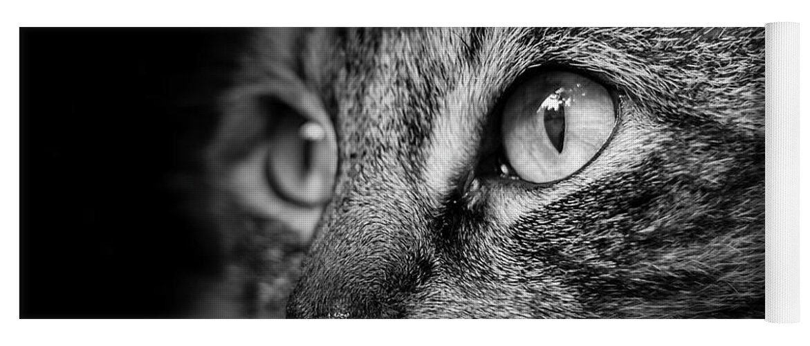 Cat Yoga Mat featuring the photograph Cat Stare BW by Rick Deacon