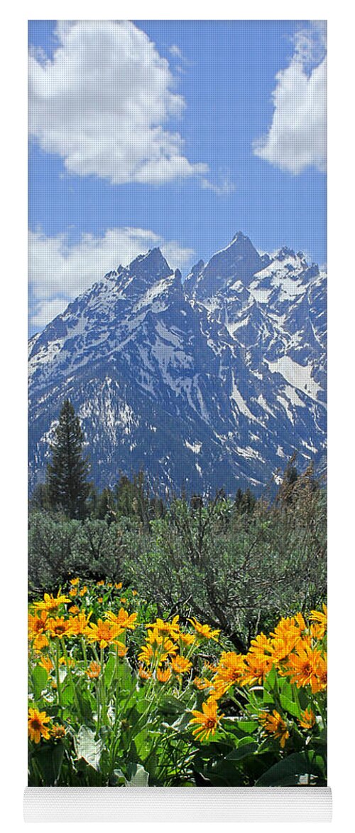 Mt. Moran Yoga Mat featuring the photograph DM9328-Cathedral Group Tetons by Ed Cooper Photography