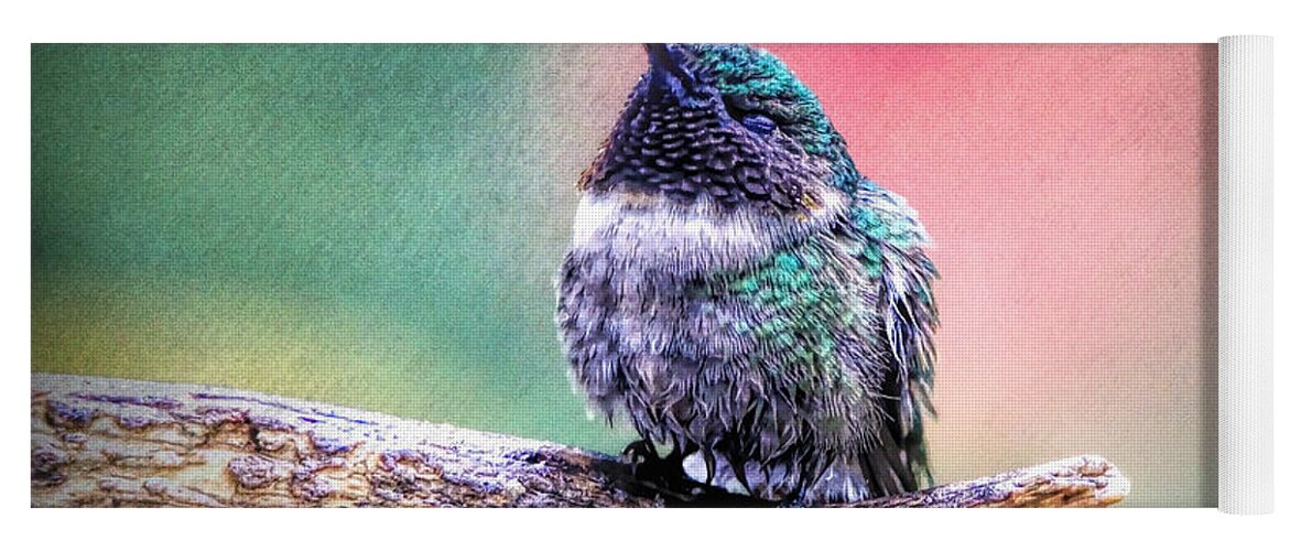 Hummingbird Yoga Mat featuring the photograph Catnapping In The Rain by Tina LeCour