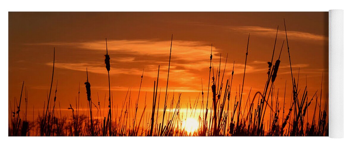 Cattails And Twilight Yoga Mat featuring the photograph Cattails And Twilight by Kathy M Krause