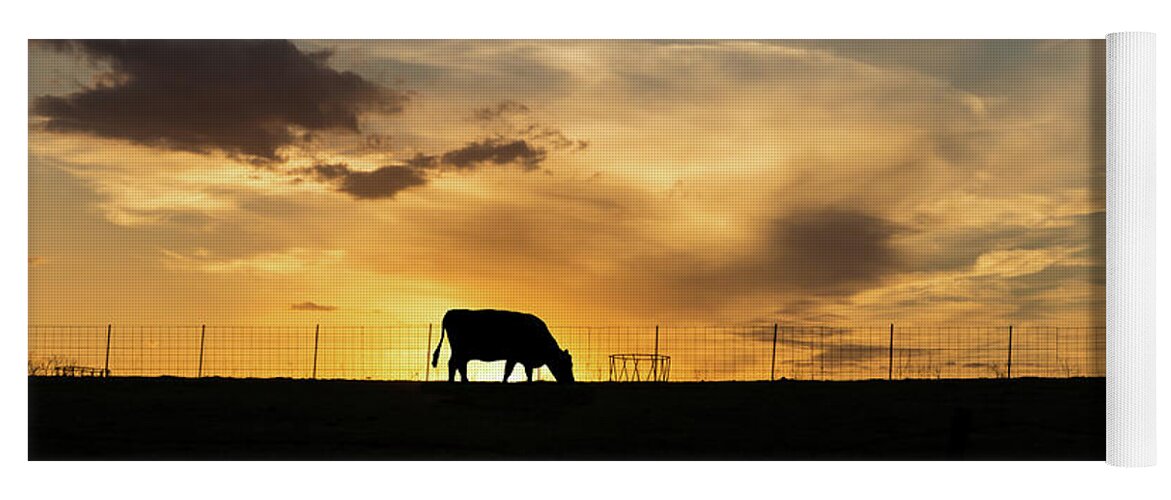Cow Yoga Mat featuring the photograph Cattle Sunset Silhouette by Jennifer White