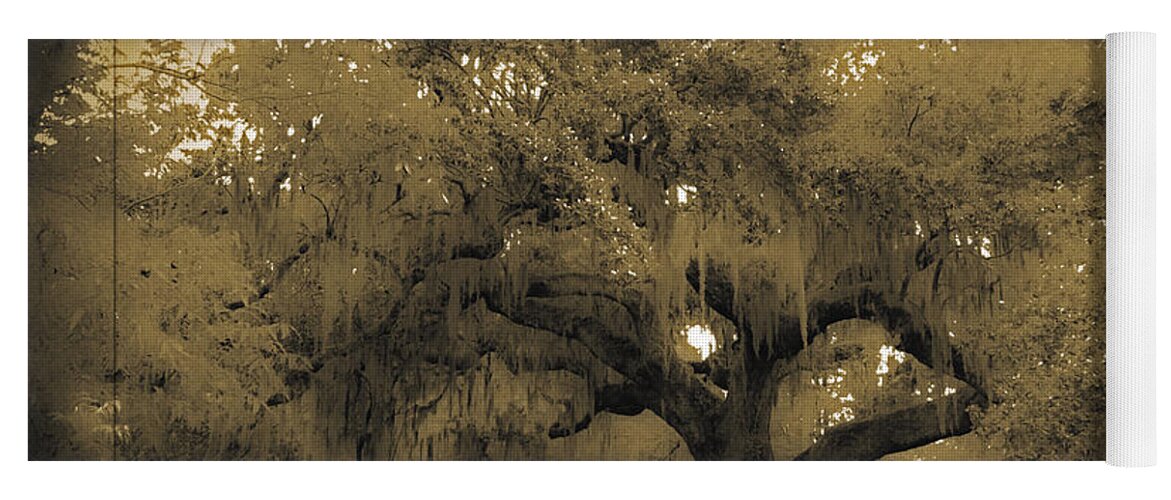 Live Oak Yoga Mat featuring the photograph Centurion Oak by DigiArt Diaries by Vicky B Fuller