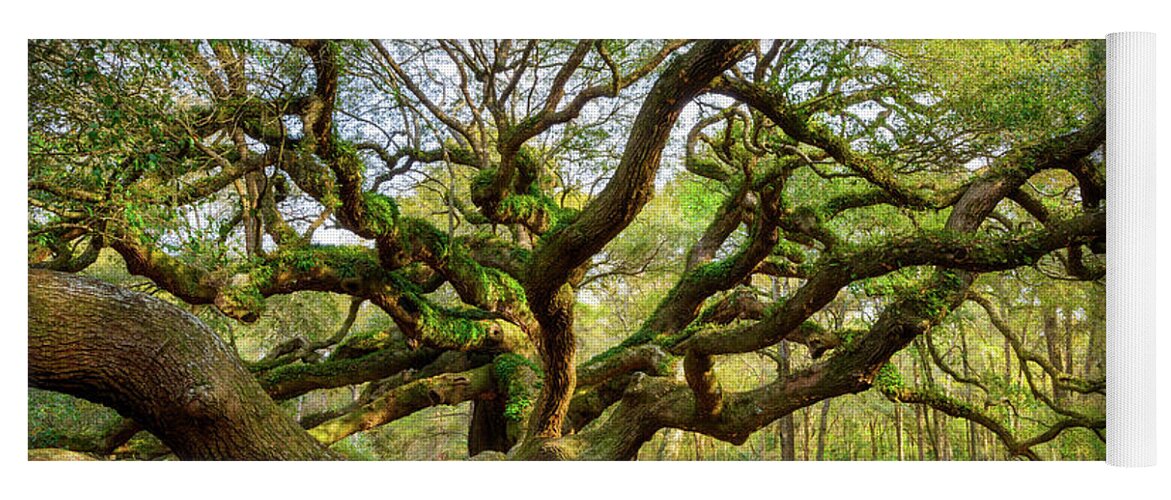 Charleston Yoga Mat featuring the photograph Charleston SC Angel Oak Tree South Carolina Landscape by Dave Allen