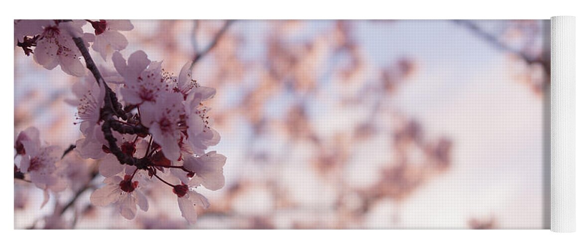 Cherry Blossoms Yoga Mat featuring the photograph Cherry Blossoms by Ana V Ramirez