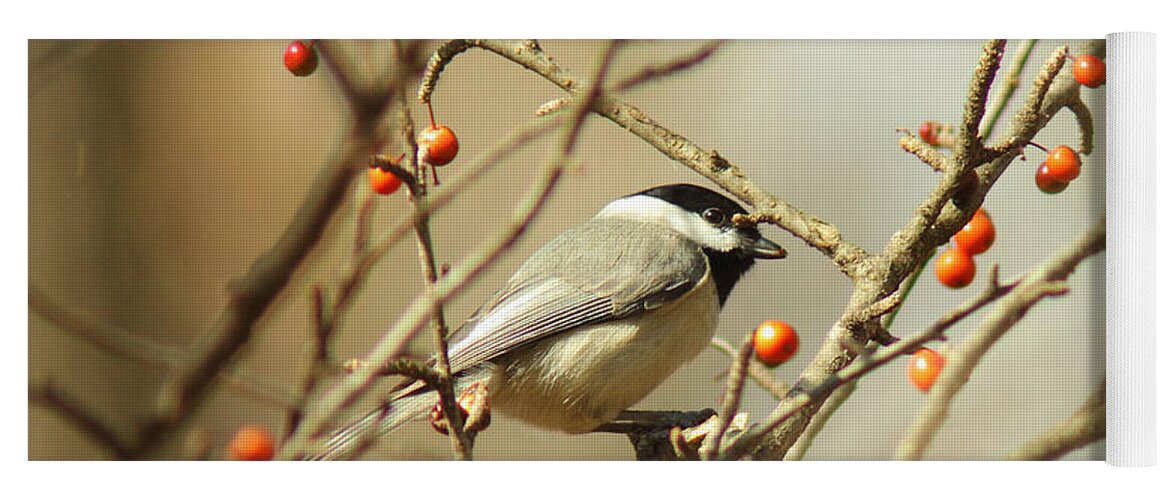 Animal Yoga Mat featuring the photograph Chickadee 2 of 2 by Robert Frederick