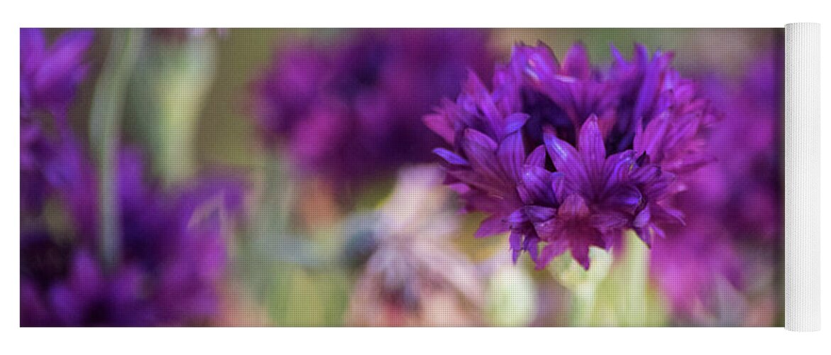 Purple Flowers Yoga Mat featuring the photograph Chive Blossoms by Bonnie Bruno