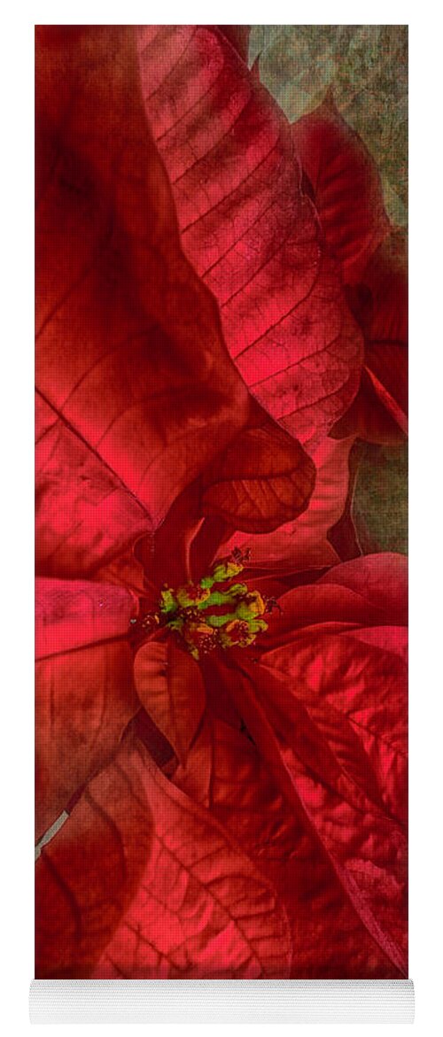 Poinsettia Yoga Mat featuring the photograph Christmas Flower by Judy Hall-Folde