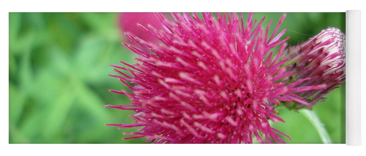 Thistle Yoga Mat featuring the photograph Cirsium Burgandy Thistle by Susan Baker