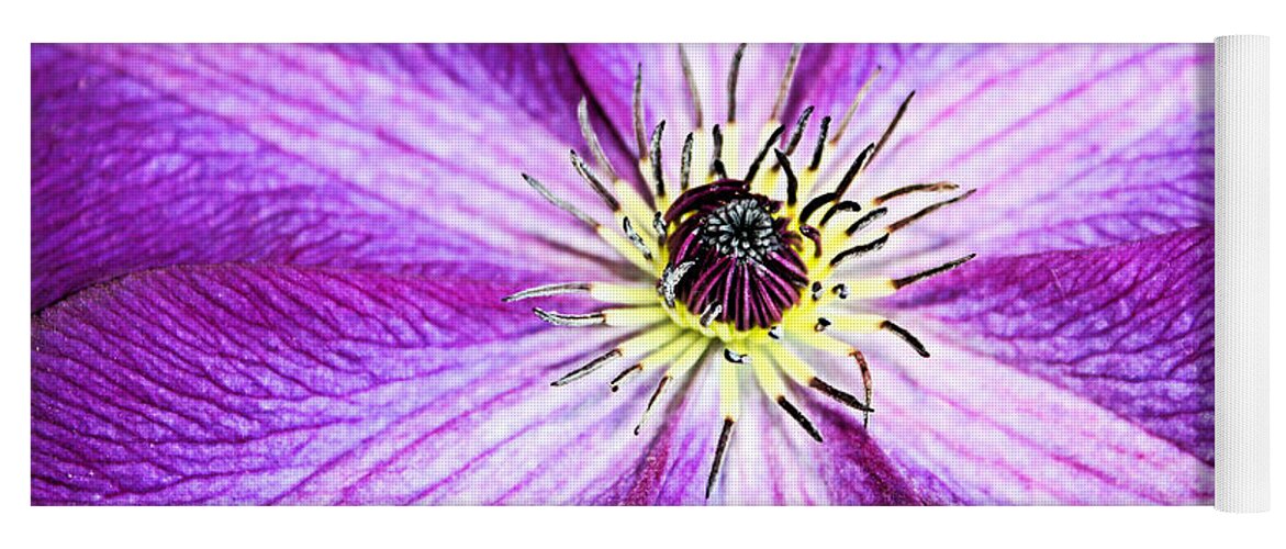 Clematis Yoga Mat featuring the photograph Clematis Close Up by Kristin Elmquist