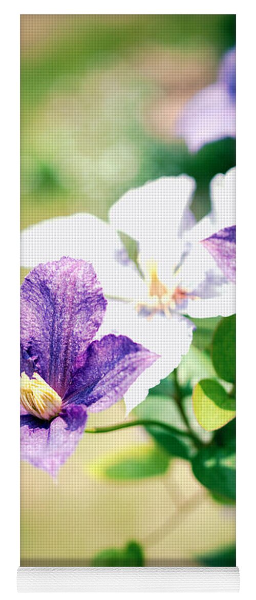 Clematis Yoga Mat featuring the photograph Clematis by Yuka Kato