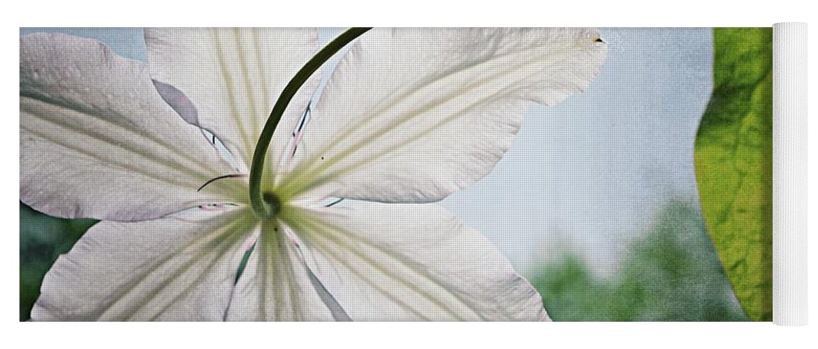 Clematis Yoga Mat featuring the photograph Clematis Vine and Leaves by Michelle Calkins