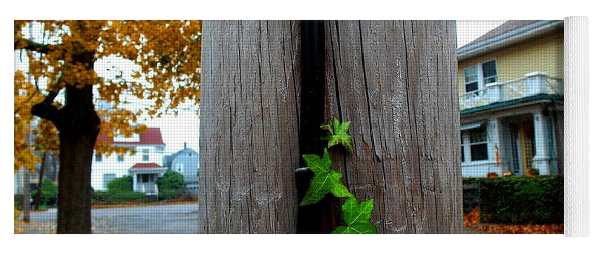 Vine Yoga Mat featuring the photograph Climbing Vine by Christopher Brown