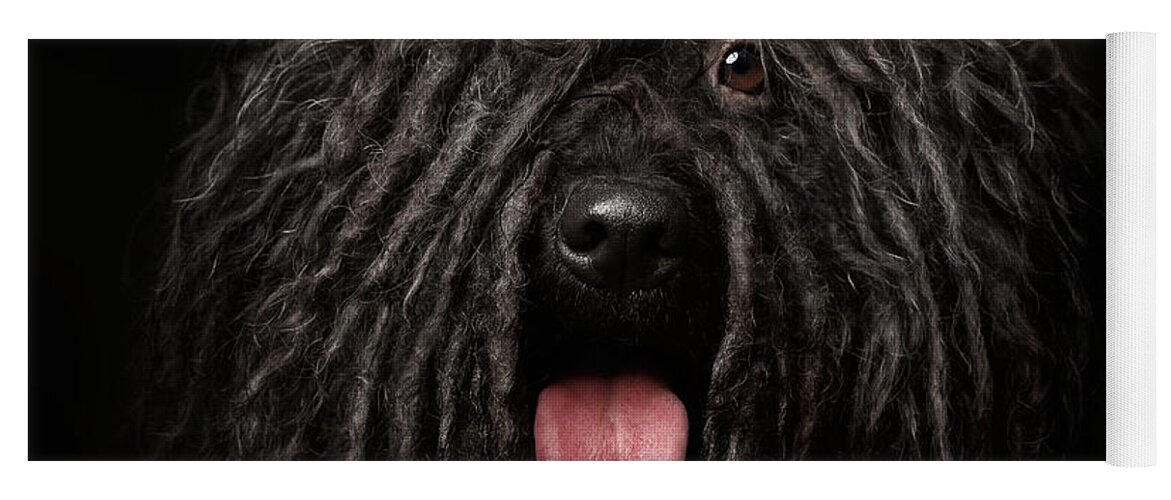 #faatoppicks Yoga Mat featuring the photograph Close up Portrait of Puli Dog isolated on Black by Sergey Taran