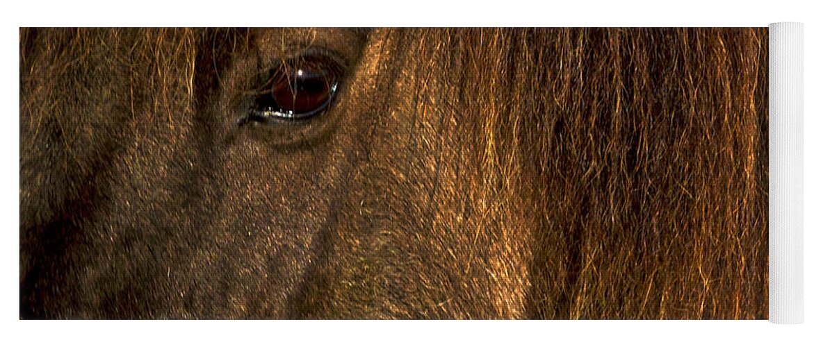 Horse Yoga Mat featuring the photograph Closeup Of An Icelandic Horse #2 by Stuart Litoff