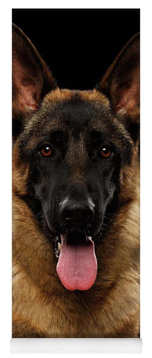 Dog Yoga Mat featuring the photograph Closeup Portrait of German Shepherd on Black by Sergey Taran