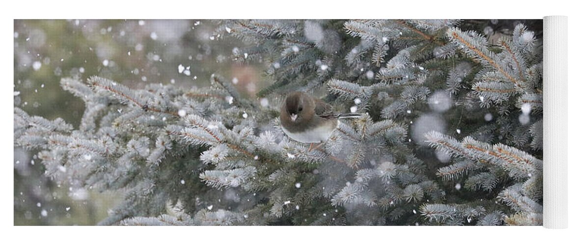 Animals Yoga Mat featuring the photograph Colorado Blue Spruce Haven by Sandra Huston
