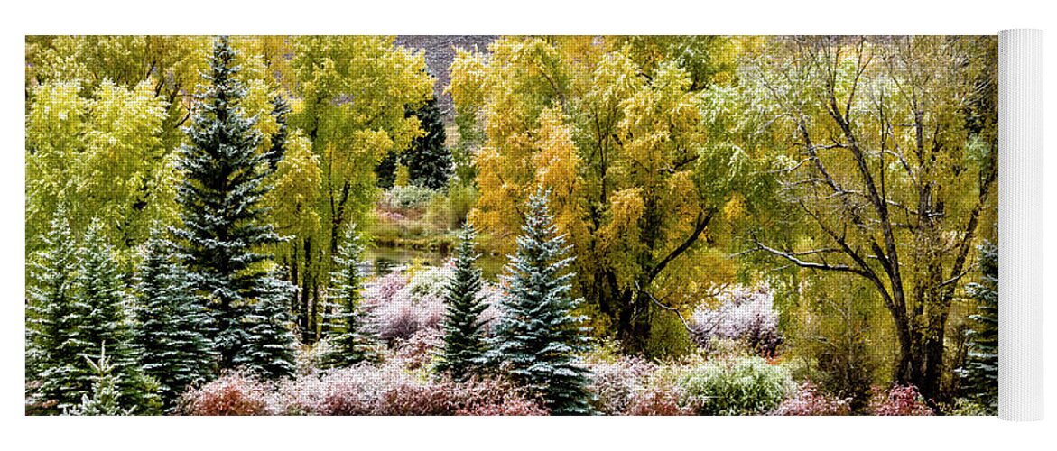 Aspen Trees Yoga Mat featuring the photograph Colorado Snowy Fall Morning by Teri Virbickis