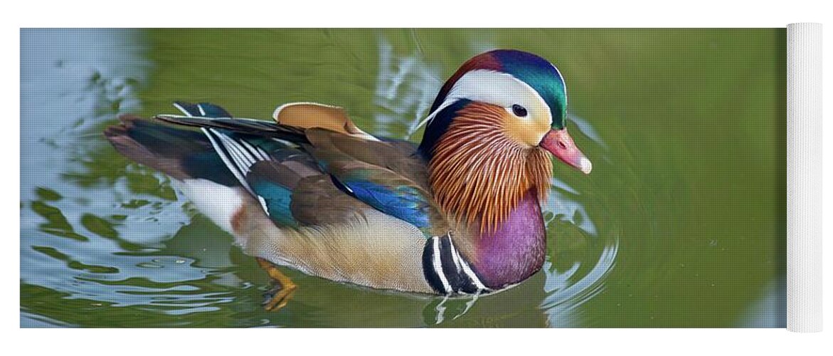 Colorful Mandarin Duck 2 Yoga Mat featuring the photograph Colorful mandarin duck 2 by Lynn Hopwood