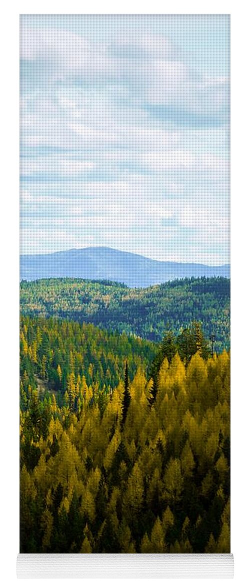 Sherman Pass Yoga Mat featuring the photograph Colors of Sherman's Pass by Troy Stapek