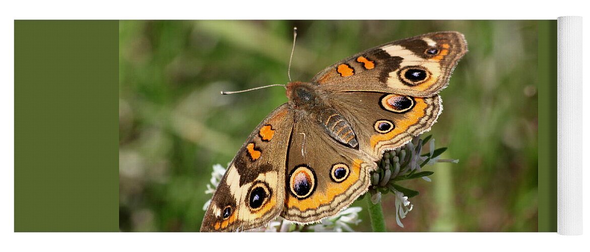 Nature Yoga Mat featuring the photograph Common Buckeye Butterfly Close-up by Sheila Brown