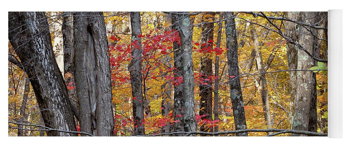 Autumn Yoga Mat featuring the photograph Connecticut by Susan Cole Kelly