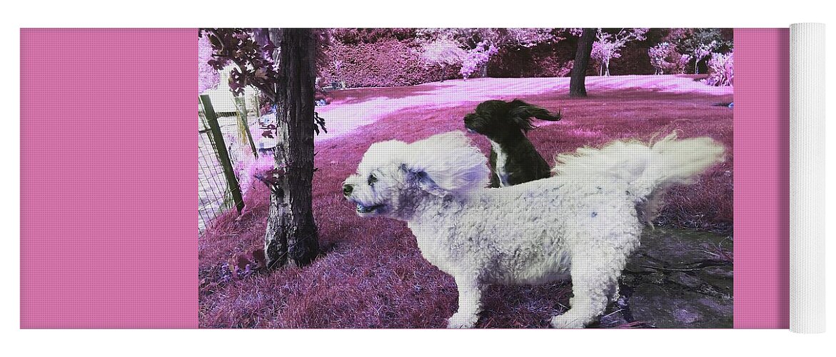 Dog Yoga Mat featuring the photograph Cool Breeze in Pink by Rowena Tutty