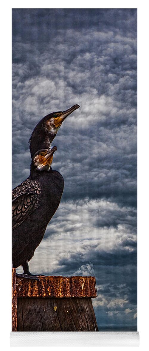 Cormorant Yoga Mat featuring the photograph Cormorant Couple by Chris Lord