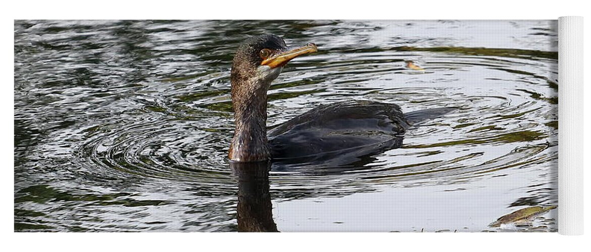 Bird Yoga Mat featuring the photograph Cormorant Fishing by Jeff Townsend