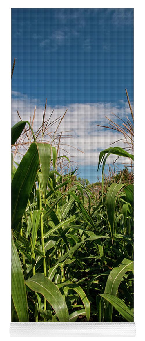 Corn Yoga Mat featuring the photograph Corn 2287 by Guy Whiteley