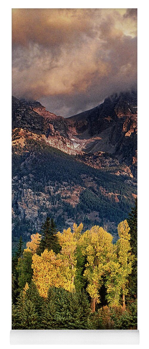 Dave Welling Yoga Mat featuring the photograph Cottonwoods Fir Trees Fall Color Grand Tetons Nat by Dave Welling