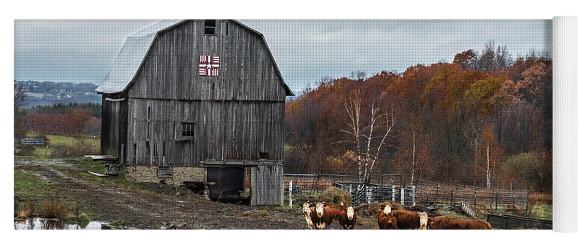 Cows Yoga Mat featuring the photograph Cow Life by Jaime Mercado