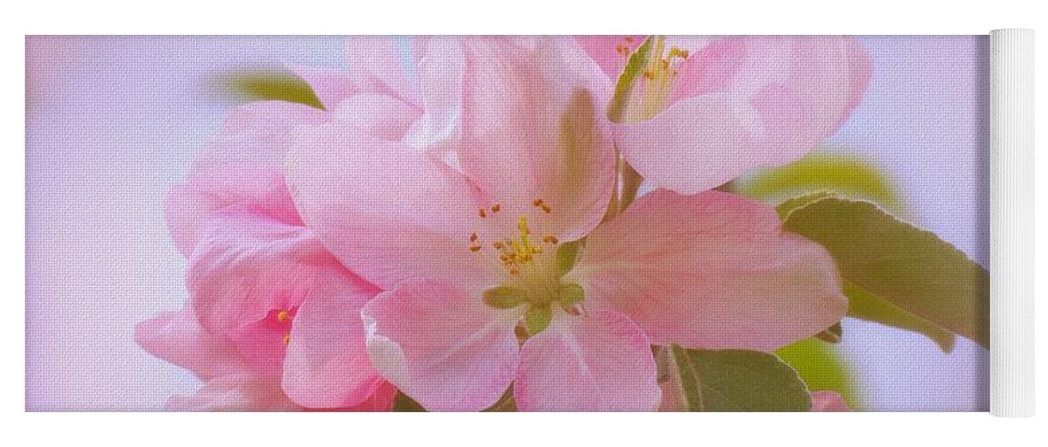 Crabapple Yoga Mat featuring the photograph Crabapple Pink by MTBobbins Photography