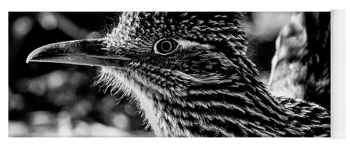 Bird Yoga Mat featuring the photograph Cresting Roadrunner, Black and White by Adam Morsa