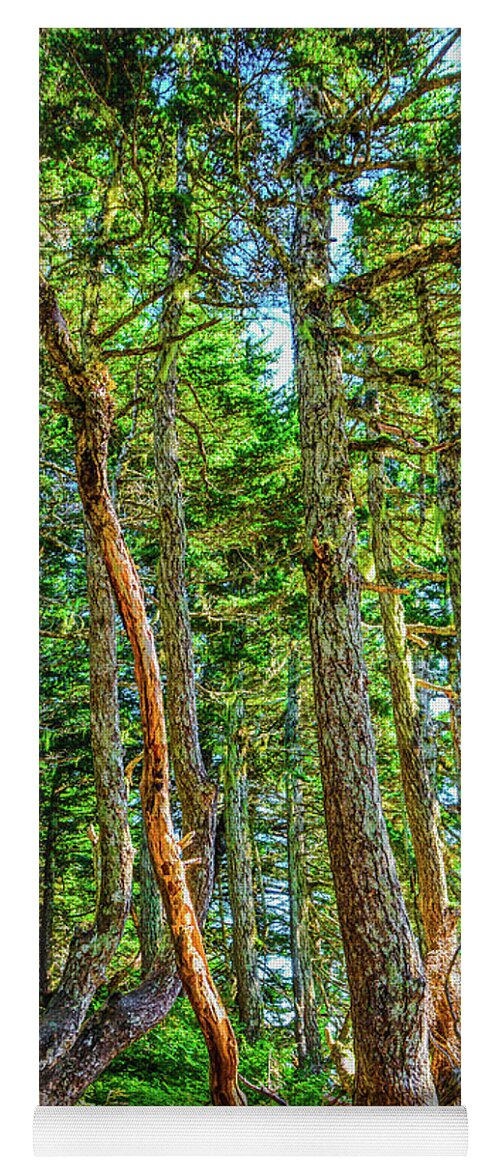 Nature Yoga Mat featuring the photograph Crooked Trees of Mt Roberts by Jason Brooks