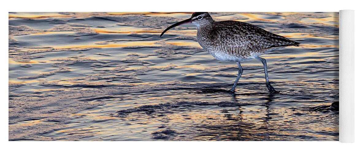 Curlew Yoga Mat featuring the photograph Curlew at sunset by Shawn Jeffries