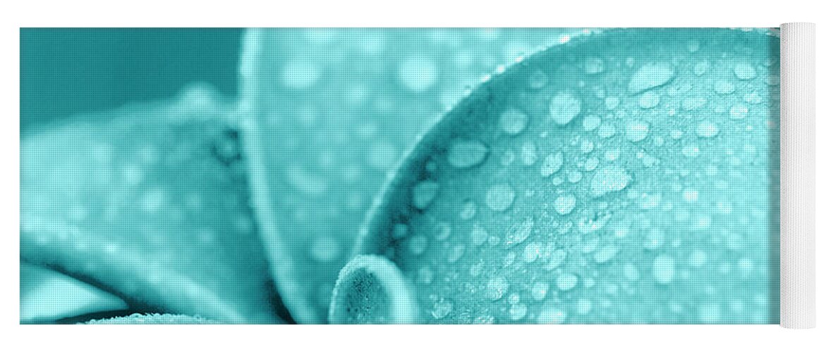 Botanic Yoga Mat featuring the photograph Aqua Plumeria droplets by Sean Davey