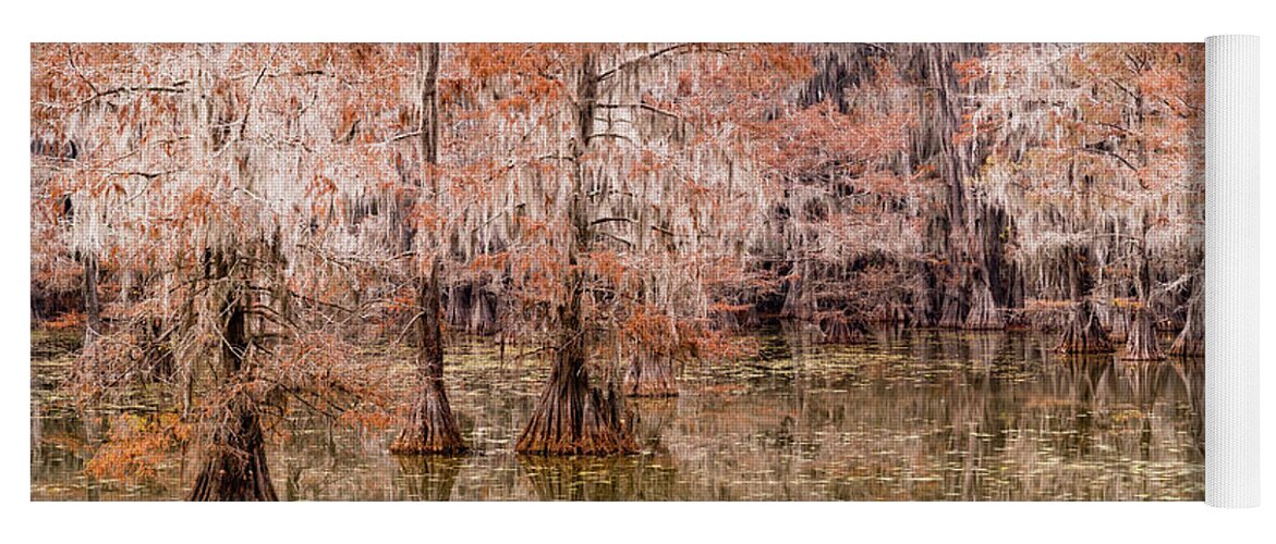 Caddo Lake State Park Yoga Mat featuring the photograph cypress trees in caddo lake state park, TX by Mati Krimerman
