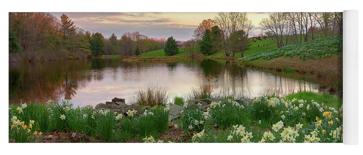 Daffodil Yoga Mat featuring the photograph Daffodil Hill Sunset by Bill Wakeley