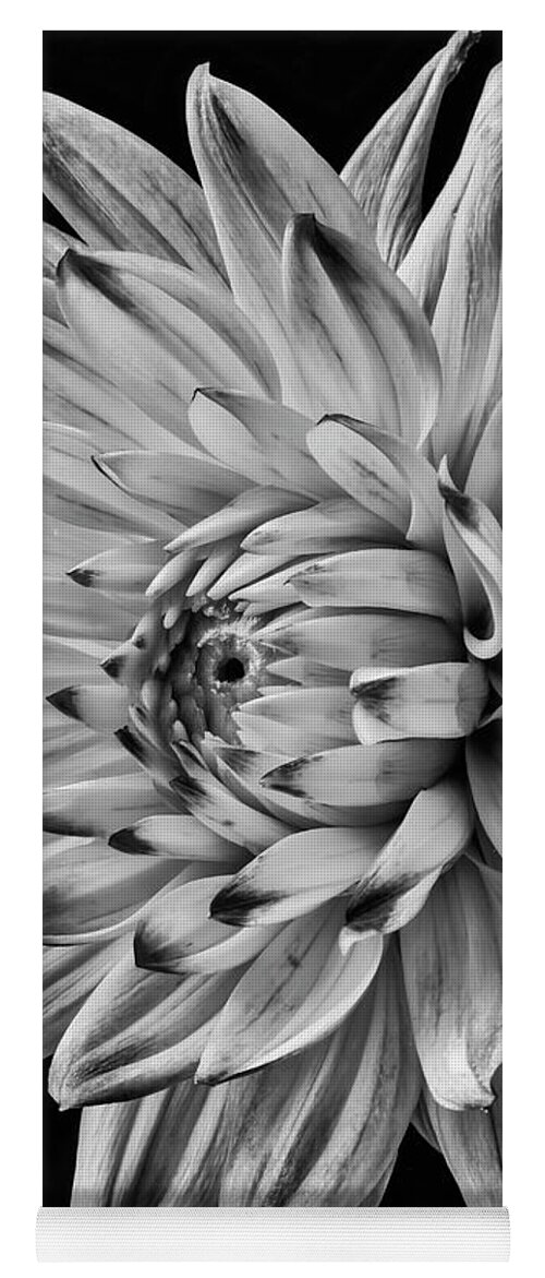 Vertical Yoga Mat featuring the photograph Dahlia Beauty In Black And White by Garry Gay