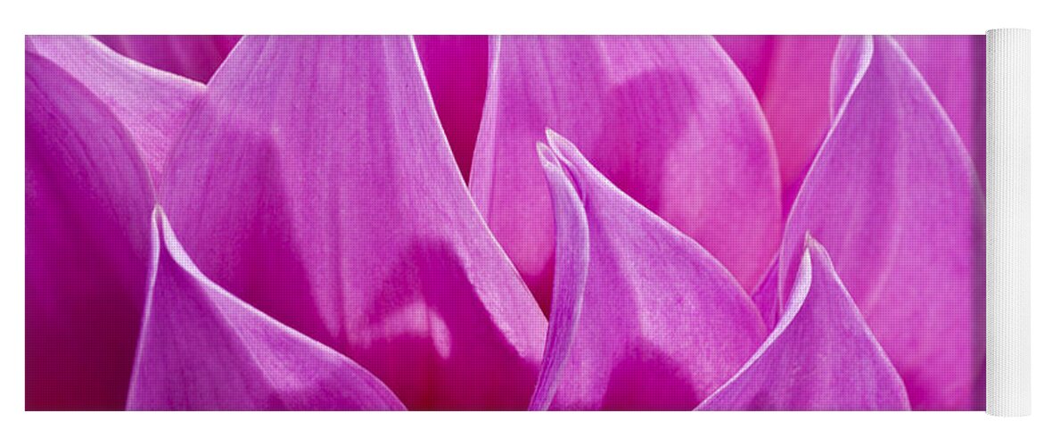 Abstract Yoga Mat featuring the photograph Dahlia Close-up II by Bill Brennan - Printscapes