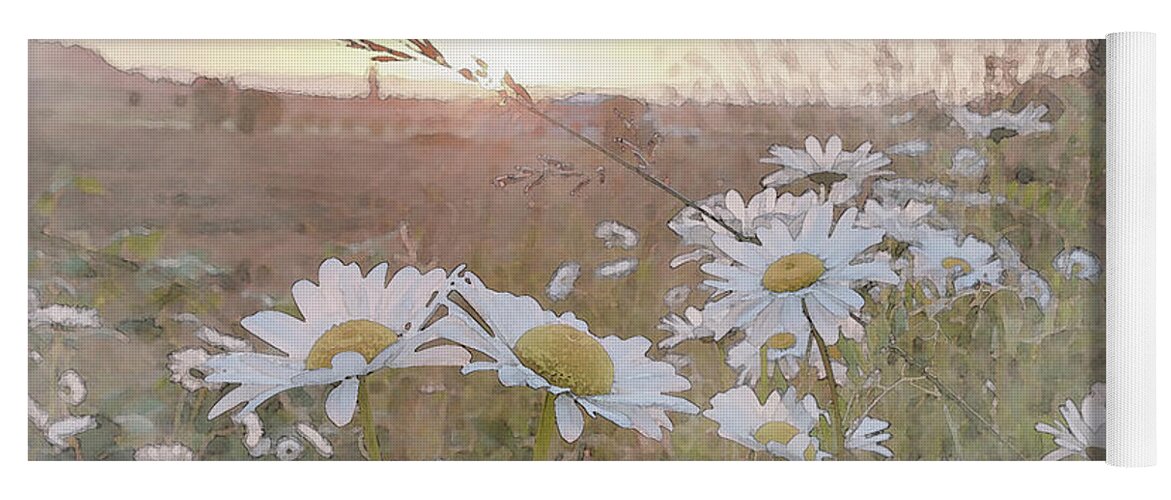 Daisies With The Setting Sun Yoga Mat featuring the digital art Daisy Sunset by Catherine Avilez