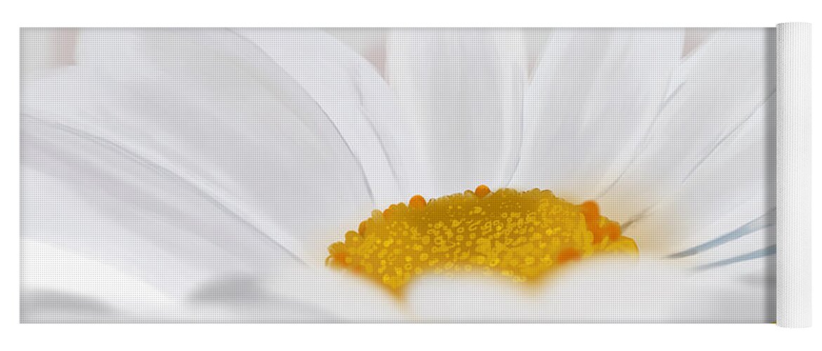 Floral Yoga Mat featuring the digital art Daisy by Todd Borders