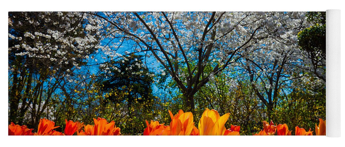 America Yoga Mat featuring the photograph Dallas Arboretum Tulips and Cherries by Inge Johnsson