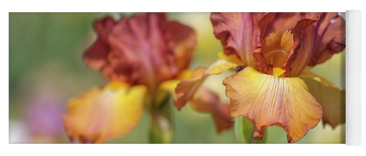 Jenny Rainbow Fine Art Photography Yoga Mat featuring the photograph Dancing Rill. The Beauty of Irises by Jenny Rainbow