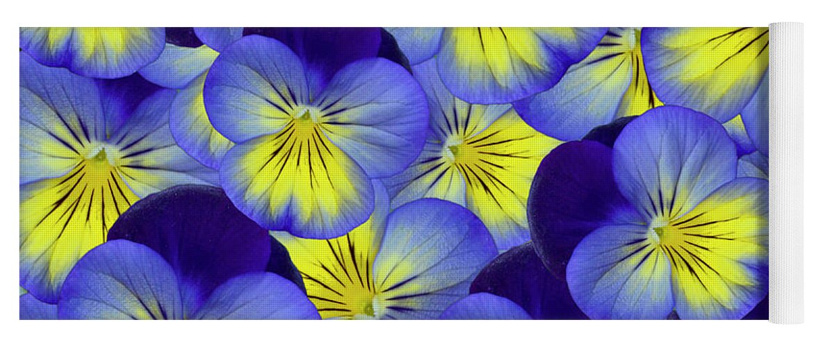  Isolated Yoga Mat featuring the photograph Dandy Pansies by Ann Bridges