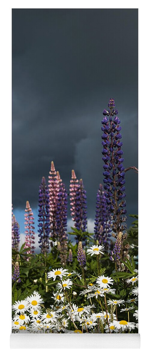 Flowers Yoga Mat featuring the photograph Dark Clouds by Robert Potts