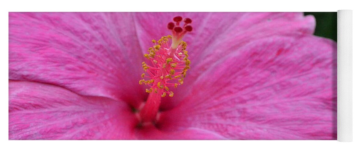 Flower Yoga Mat featuring the photograph Dark Pink Hibiscus 1 by Amy Fose